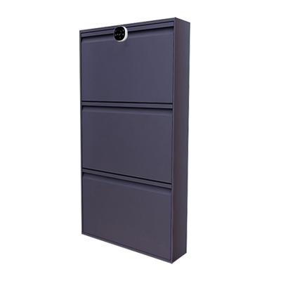 China Ultrathin Steel Password Sundry Lock Storage Shoe Cabinet In Entry Hall And Home for sale