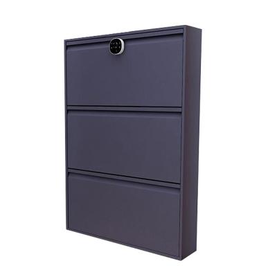 China Simple Modern Simple Style Color Steel Home Shoe Tilting Cabinet With Password Lock for sale