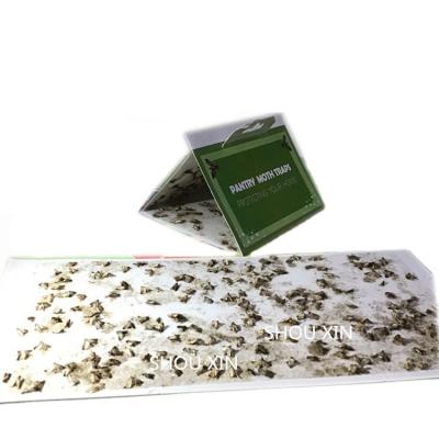 China Disposable Pheromones Moth Attractment Galley Moth Trap for sale