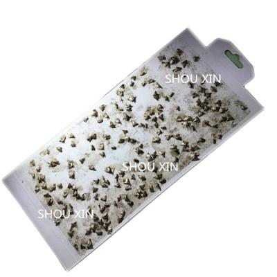 China Pheromone Moth Glue Trap Moth Pantry Hanging Sticky Moth Viable for sale