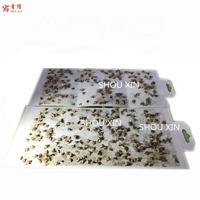 China Viable Pheromone Pantry Food Moth Glue Trap Fruit Fly Trap for sale