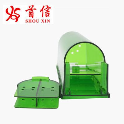 China Disposable Plastic Large Mouse Humane Rat Traps For Pest Control for sale