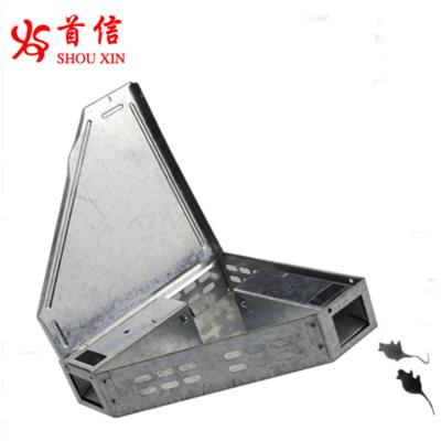 China Humane Viable Pest Control Rat Metal Wedge Mouse Trap for sale