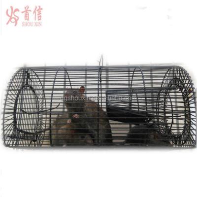 China Large Viable Rat Trap Mesh Cage Animal Trap for sale