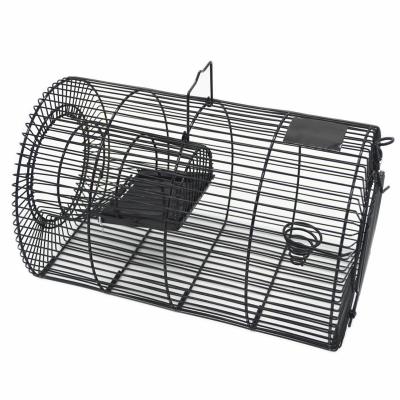 China Large Size Viable Wire Mesh Live Cage Rat Trap Live Cage for sale