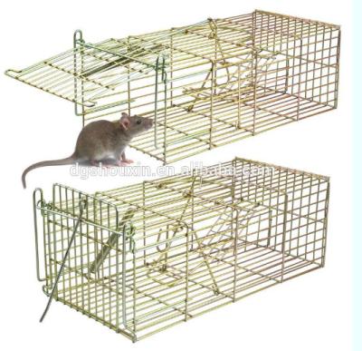 China Viable Humane Live Multi Hook Live Animal Trap Rat Cage for sale