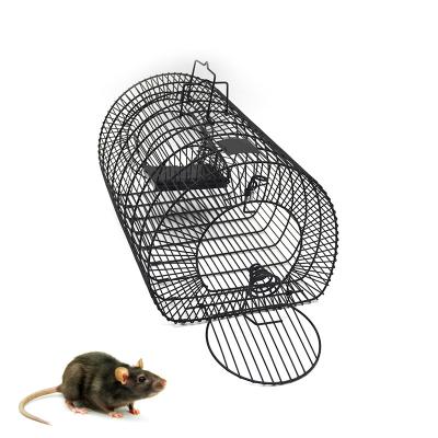 China Wholesale Viable Humane Live Metal Mouse Rat Large Animal Catcher Cage for sale