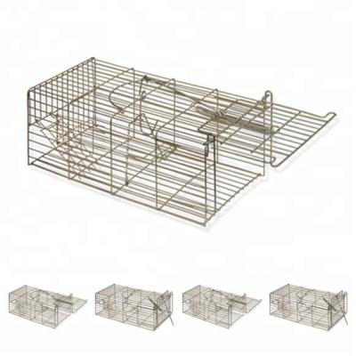 China Viable Pest Control Galvanized Humane Metal Live Animal Catcher Mouse Rat Cage Trap for sale