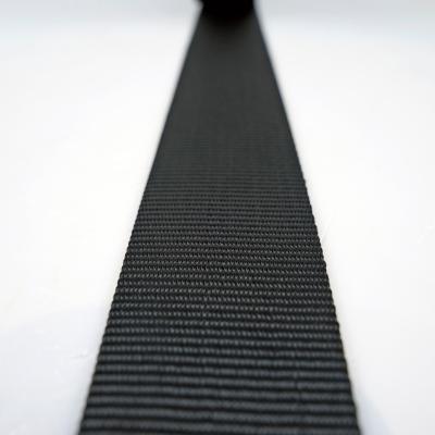 China High Quality High Strength Eco-friendly Single Pattern Nylon Webbing For Garment Accessories for sale