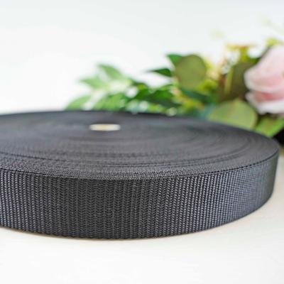 China Factory direct supply high quality color plain weave nylon webbing webbing for garment accessories for sale