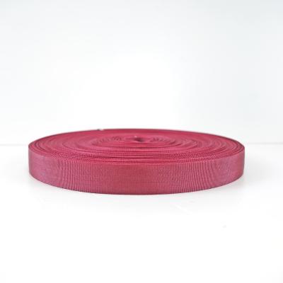 China High Quality Customizable And Eco-friendly Nylon Webbing For Plain Weave Garment Accessories for sale