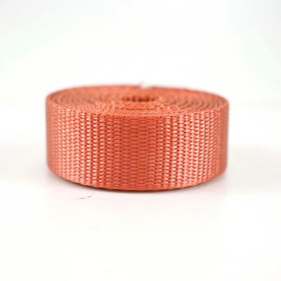 China Photoproof and hot sale high quality polyester webbing for pet lanyard or handle webbing for sale