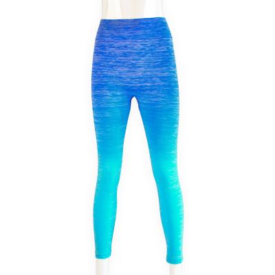 China Wholesale Ad Women Breathable High Waisted Polyester Seamless Gym Sports Wear Leggings for sale