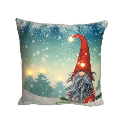 China With Light Home Decor Cushion Cover Animal Throw Case Throw Pillow for sale