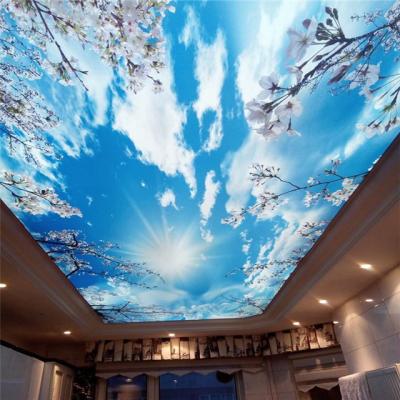 China Artistic Effect Stretch False Ceilings 3D Ceiling Designs For Lobby for sale