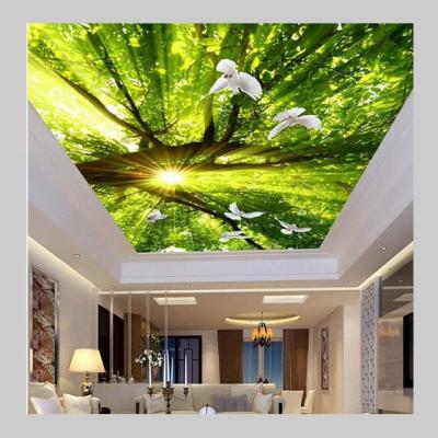 China Non Self Adhesive PVC Stretch Membrane Space Ceiling Pictures for sale