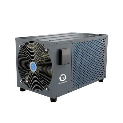 China New Energy Outdoor Air To Water DC Inverter Swimming Pool And SPA Heat Pump for sale