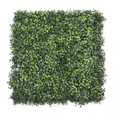 China Landscaping Decoration 50*50cm Vertical Garden Decorative Plastic Boxwood Hedge Panel Artificial Plants Green Grass Wall for sale