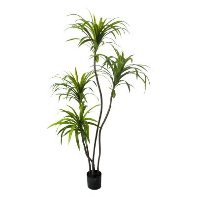 China Environmental Friendly 2023 new design Decoration Green Artificial Dracaena Plant potted tree multi color size  home garden decor factory wholesale for sale