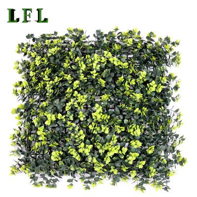 China Natural Touch LFL flower artificial boxwood panel  home garden decor UV- protected factory wholesale green wall plant wall decor for sale