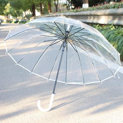 China Luxury Automatic long-handled transparent umbrella forest student sun umbrella female straight umbrella for sale