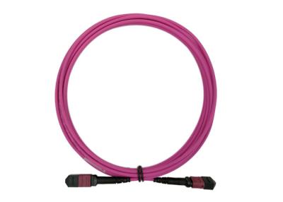 China Fiber Optical 24 MTP MPO Patch Cord 5M OM4 24 Core Magenta Low Loss 0.3dB type B for sale