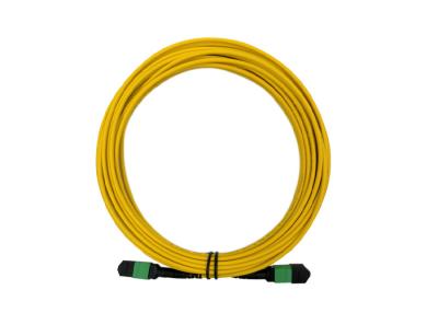 China 12 Core APC SM 20m MTP MPO Patch Cord  9 / 125 Single mode LSZH Female to Female for sale