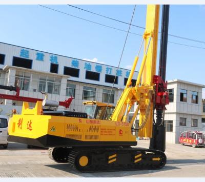 China High Efficiency Chinese Top Brand Hydraulic Rotary Drilling Rig LD530 Pilling Rig for sale