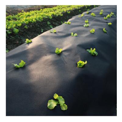 China Sustainable Agriculture PP Non Woven Fabrics For Factory Cover Non Woven Mat Biodegradable Weed Cover Non Weed Woven Fabric for sale