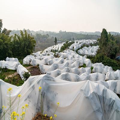 China Agriculture Waterproof Garden PP Spunbonded Biodegradable Treated Nonwoven Fabric To Keep Plant Non Woven Fabric Plant Warm Blanket for sale