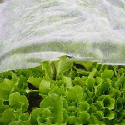 China Wholesale low price non-woven fabrics waterproof agricultural winter plant cover fruit trees and plant cold fabric-vegetable covers for sale