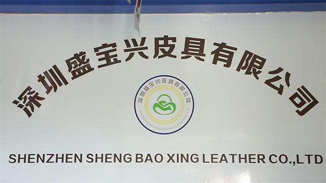 Verified China supplier - Shenzhen Sheng Bao Xing Leather Co., Ltd.