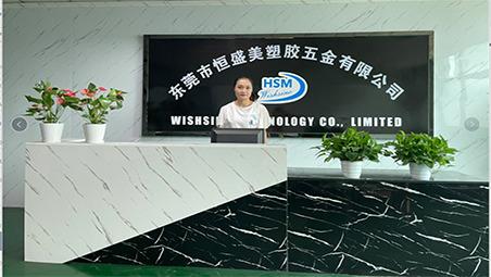 Verified China supplier - Dongguan City Hengshengmei Plastic& Metal  Limited