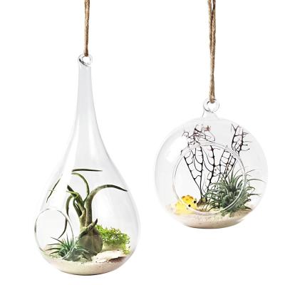 China Unique Design Eco-friendy China Supplier Design Glass Dome Cover Mini Flower Glass Greenhouse for sale