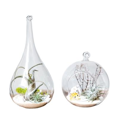 China Eco-Friendy Customized Globe Clear Glass Vase Pot Plant Hanging Hydroponic Mini Greenhouse for sale