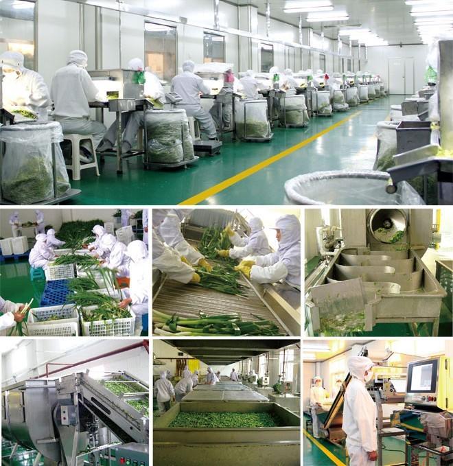 Verified China supplier - China asahi ever international co.,ltd