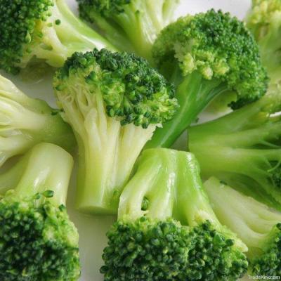 China High quality broccoli iqf broccoli IQF frozen frozen vegetables IQF broccoli for sale