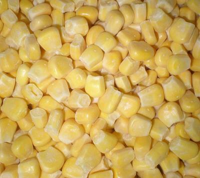 China 2022 Crop 2022 FROZEN Organic Frozen Corn Kernels Size High Quality Low Prices for sale