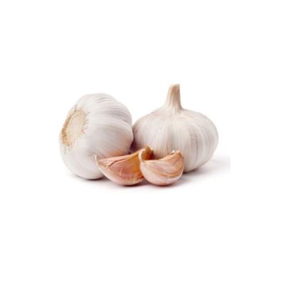 China China wholesale fresh garlic price of new cultured fresh white garlic for sale