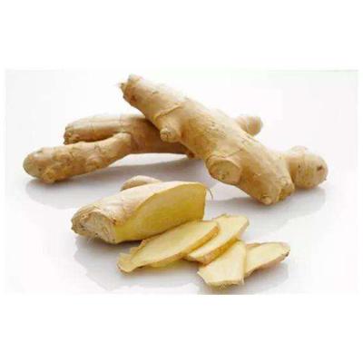 China 2020 Fresh Newest Culture Fresh Organic Ginger Price Wholesale for sale