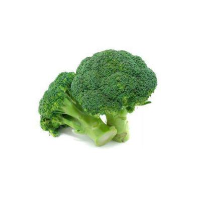 China Fresh hot sale fresh broccoli with lower price for sale