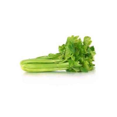 China Fresh Organic Green Vegetables Wholesale Fresh Celery for sale