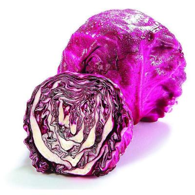 China 2020 fresh purple cabbage chinese fresh round dish for sale