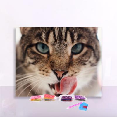 China Full Square / Round Diamond Amazon dropshipping standard box Packing Cat DIY Square 5D Full Diamond Painting for sale