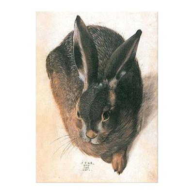 China Realistic Famous Reproduction Albrecht Durer Rabbit Ware Animal Wall Art Canvas Painting for sale