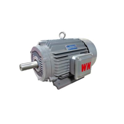 China High Effciency Totally Enclosed 3 Phase Asynchronous AC Motor AC Electric Motor for sale