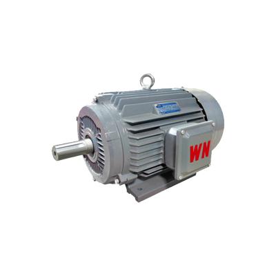 China 200kw Totally Enclosed Motor 1500 rpm B3 315frame LE3 Efficiency YE3-315L2-4 for sale