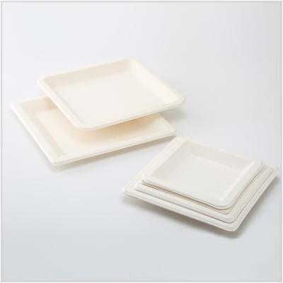 China 2021 Wholesale Disposable Disposable Sugar Cane Tableware Bagasse 6inch Biodegradable Dish for sale