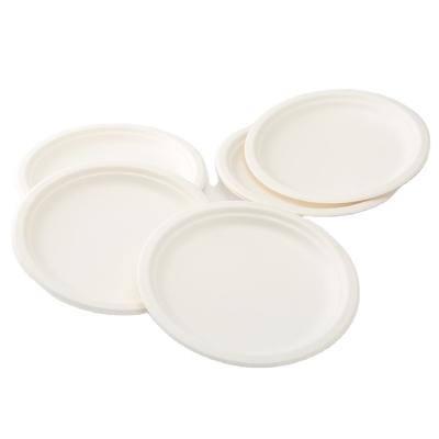 China 100% Biodegradable Disposable Food Container Tableware Salad Sugarcane Bagasse Dish for sale