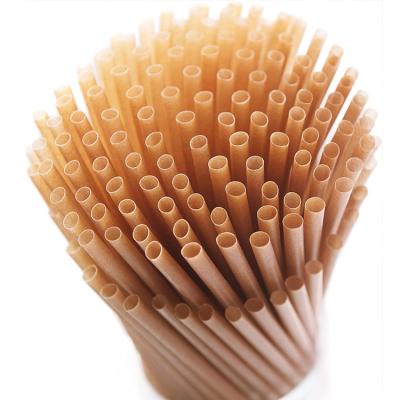 China Disposable Hot Sale Fashion Eco Friendly Drinking Sugarcane Bagasse Compostable Straw for sale